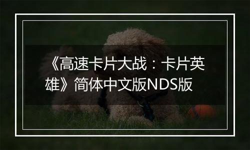 《高速卡片大战：卡片英雄》简体中文版NDS版