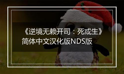 《逆境无赖开司：死或生》简体中文汉化版NDS版