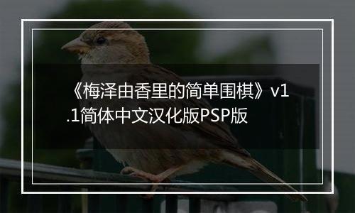 《梅泽由香里的简单围棋》v1.1简体中文汉化版PSP版