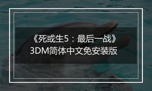 《死或生5：最后一战》 3DM简体中文免安装版