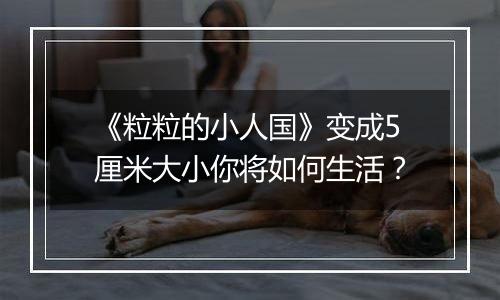 《粒粒的小人国》变成5厘米大小你将如何生活？