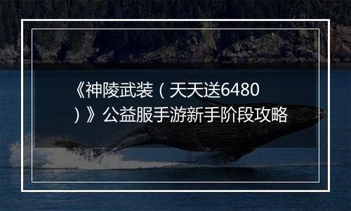 《神陵武装（天天送6480）》公益服手游新手阶段攻略