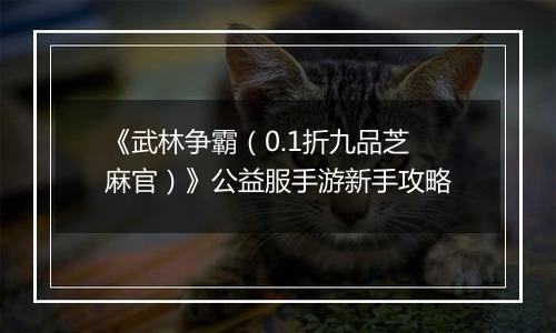 《武林争霸（0.1折九品芝麻官）》公益服手游新手攻略