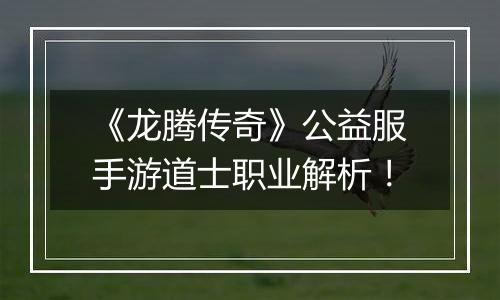 《龙腾传奇》公益服手游道士职业解析！