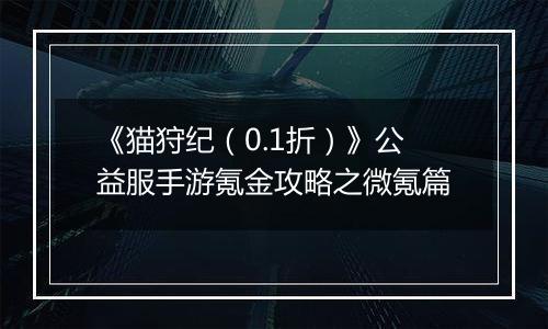 《猫狩纪（0.1折）》公益服手游氪金攻略之微氪篇