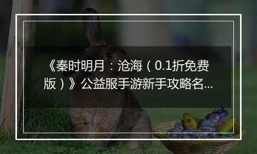 《秦时明月：沧海（0.1折免费版）》公益服手游新手攻略名剑篇
