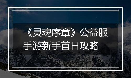 《灵魂序章》公益服手游新手首日攻略