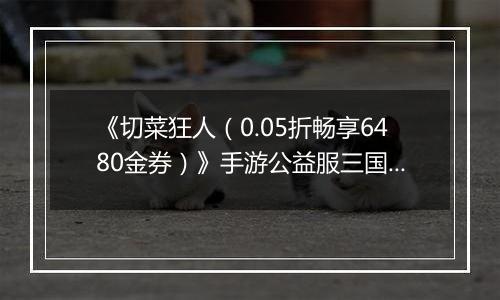 《切菜狂人（0.05折畅享6480金券）》手游公益服三国阵容推荐