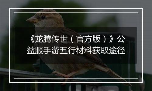 《龙腾传世（官方版）》公益服手游五行材料获取途径