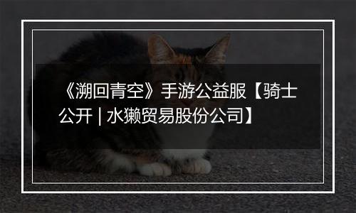 《溯回青空》手游公益服【骑士公开 | 水獭贸易股份公司】