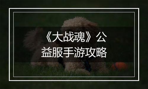 《大战魂》公益服手游攻略
