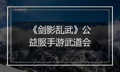 《剑影乱武》公益服手游武道会