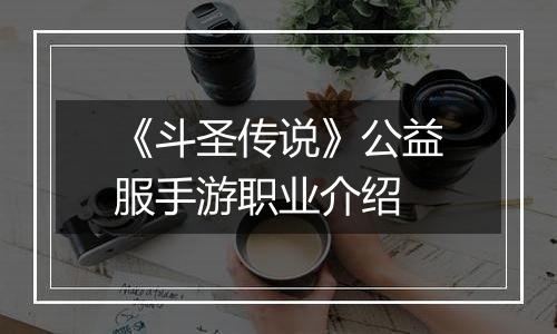 《斗圣传说》公益服手游职业介绍