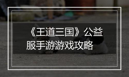 《王道三国》公益服手游游戏攻略