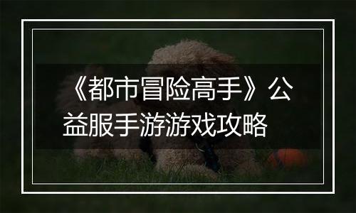 《都市冒险高手》公益服手游游戏攻略