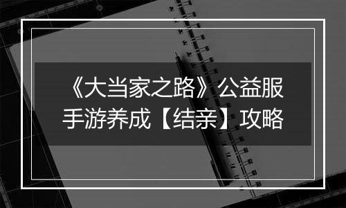 《大当家之路》公益服手游养成【结亲】攻略