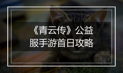 《青云传》公益服手游首日攻略