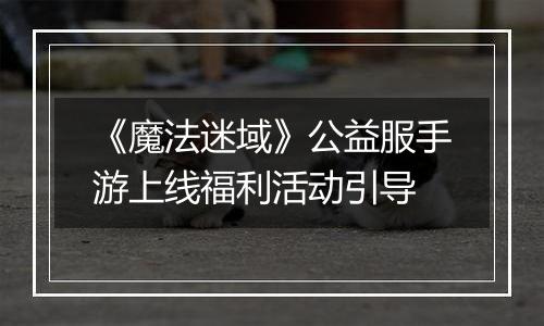 《魔法迷域》公益服手游上线福利活动引导