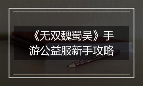 《无双魏蜀吴》手游公益服新手攻略