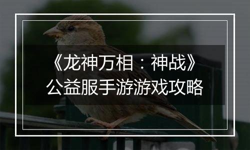《龙神万相：神战》公益服手游游戏攻略