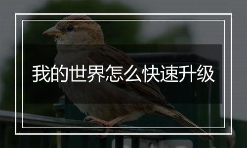 我的世界怎么快速升级