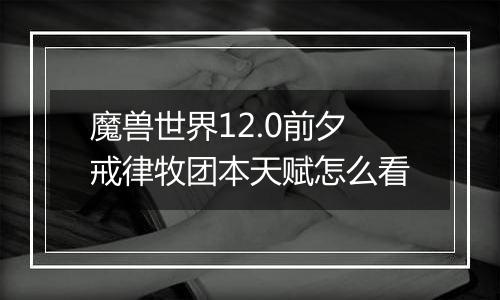 魔兽世界12.0前夕戒律牧团本天赋怎么看