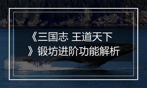 《三国志 王道天下》锻坊进阶功能解析