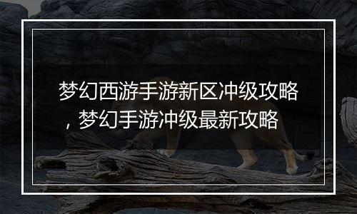 梦幻西游手游新区冲级攻略，梦幻手游冲级最新攻略