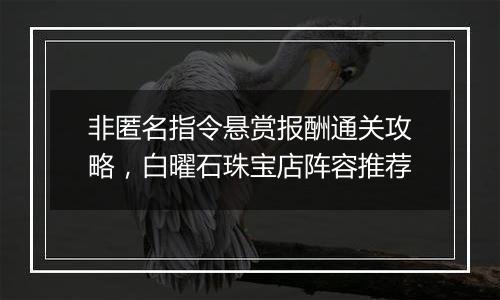 非匿名指令悬赏报酬通关攻略，白曜石珠宝店阵容推荐