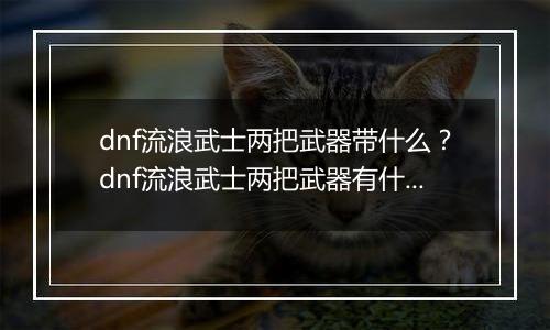 dnf流浪武士两把武器带什么？dnf流浪武士两把武器有什么用
