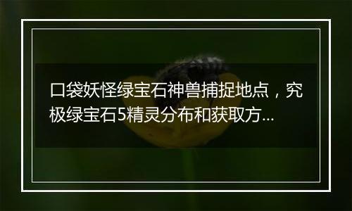 口袋妖怪绿宝石神兽捕捉地点，究极绿宝石5精灵分布和获取方法