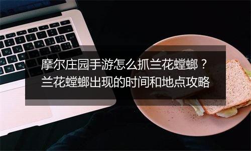 摩尔庄园手游怎么抓兰花螳螂？兰花螳螂出现的时间和地点攻略
