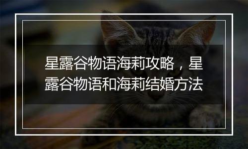 星露谷物语海莉攻略，星露谷物语和海莉结婚方法