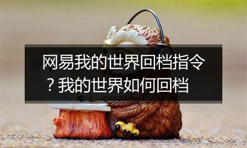 网易我的世界回档指令？我的世界如何回档