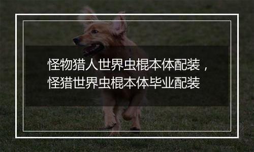 怪物猎人世界虫棍本体配装，怪猎世界虫棍本体毕业配装