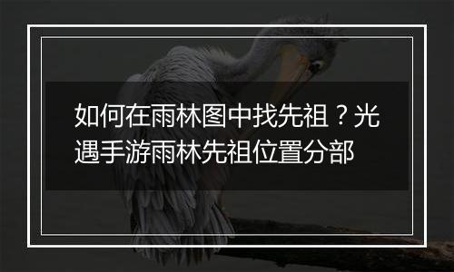 如何在雨林图中找先祖？光遇手游雨林先祖位置分部