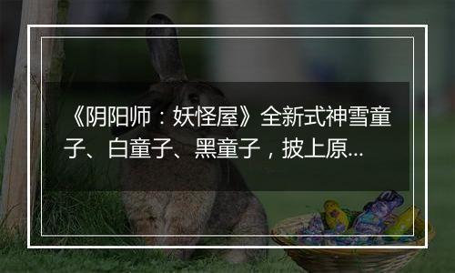 《阴阳师：妖怪屋》全新式神雪童子、白童子、黑童子，披上原创战袍新皮肤，踏上勇者征程！