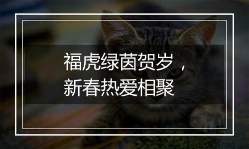福虎绿茵贺岁，新春热爱相聚