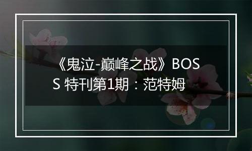 《鬼泣-巅峰之战》BOSS 特刊第1期：范特姆