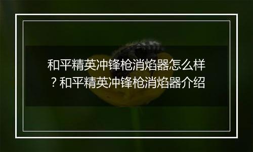 和平精英冲锋枪消焰器怎么样？和平精英冲锋枪消焰器介绍