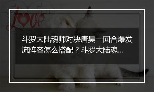 斗罗大陆魂师对决唐昊一回合爆发流阵容怎么搭配？斗罗大陆魂师对决唐昊一回合爆发流阵容介绍