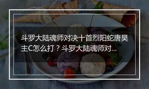 斗罗大陆魂师对决十首烈阳蛇唐昊主C怎么打？斗罗大陆魂师对决十首烈阳蛇唐昊主C打法介绍