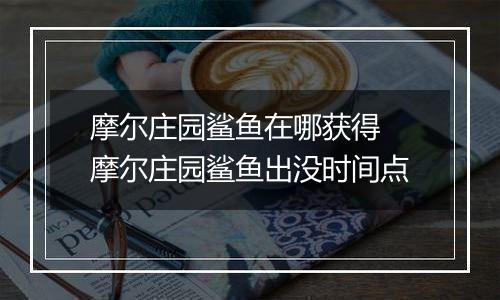 摩尔庄园鲨鱼在哪获得 摩尔庄园鲨鱼出没时间点