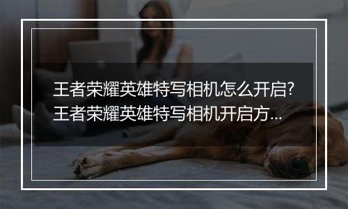 王者荣耀英雄特写相机怎么开启?王者荣耀英雄特写相机开启方法