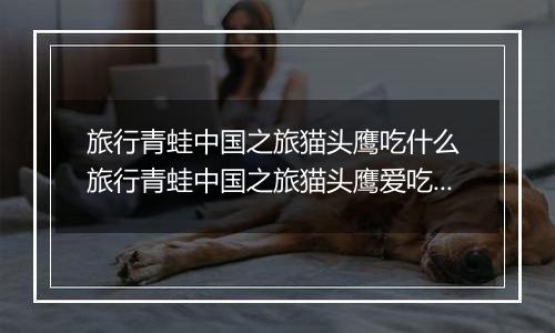 旅行青蛙中国之旅猫头鹰吃什么 旅行青蛙中国之旅猫头鹰爱吃食物一览