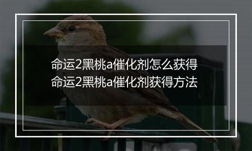 命运2黑桃a催化剂怎么获得 命运2黑桃a催化剂获得方法