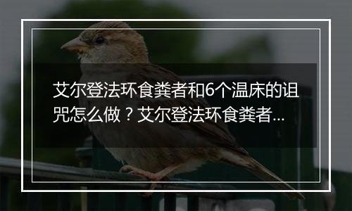 艾尔登法环食粪者和6个温床的诅咒怎么做？艾尔登法环食粪者和6个温床的诅咒的任务攻略