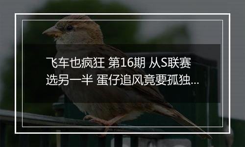 飞车也疯狂 第16期 从S联赛选另一半 蛋仔追风竟要孤独终老