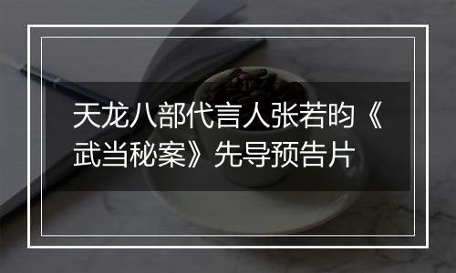 天龙八部代言人张若昀《武当秘案》先导预告片