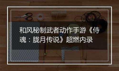 和风秘制武者动作手游《侍魂：胧月传说》超燃内录